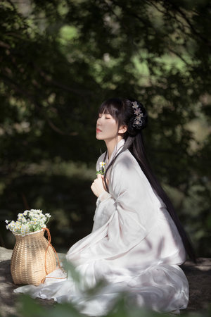 樱花动漫官网登录入口知乎