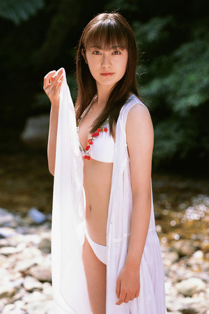 一本到精品免费高清在线