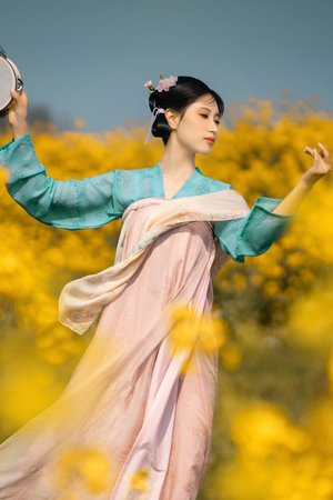 刘罗锅宰相刘罗锅全集免费