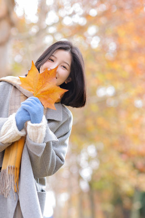 没有黄段子的无聊世界高清完整版