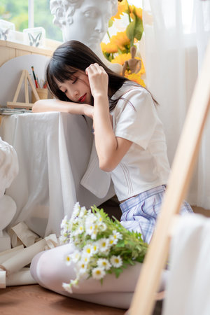 宠物小精灵dp全集