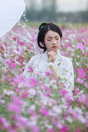 女人与男人爰爱一级毛片