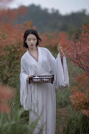 晚上睡不着偷偷看b站软件ios