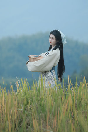 高潮又爽又黄又无遮挡免费软件