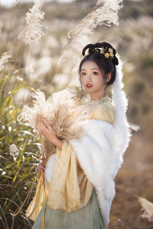 最新版天堂资源网在线种子