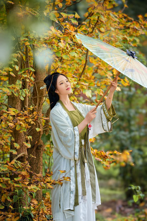 日本成aⅴ人片日本伦中文