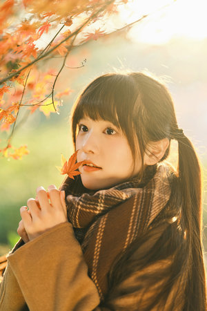 欧美男同视频免费videos