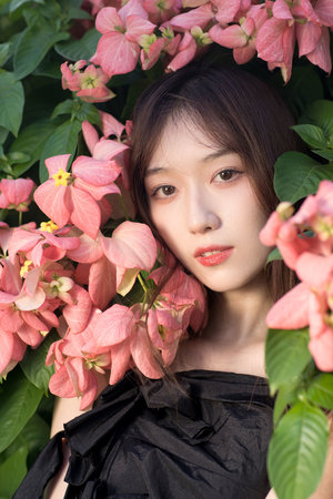 3dmark免费和付费区别